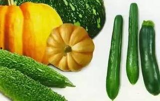 李明贵吃瓜,揭秘娱乐圈幕后故事