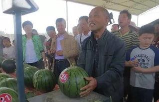 墨尔本梗吃瓜群众,揭秘吃瓜群众的欢乐盛宴