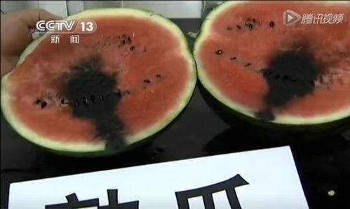 考眼力吃瓜视频,揭秘“吃瓜”视频背后的趣味与智慧