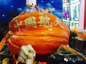 杨凌农高会吃瓜,吃瓜群众眼中的农业盛宴