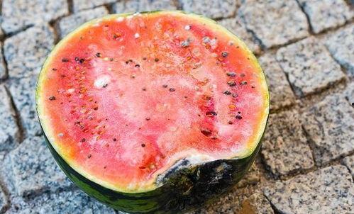 破碎吃瓜,探寻生活百味