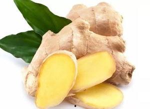 冬吃萝卜夏吃瓜的好处,冬萝卜夏瓜，健康生活必备良方