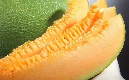 飞娥吃瓜,飞蛾吃瓜的奇妙瞬间