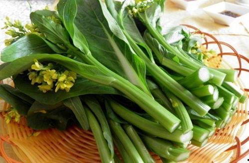 瓠瓜菜怎么吃,解锁健康美味新体验