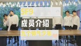 仓鼠可以吃哈密瓜吗