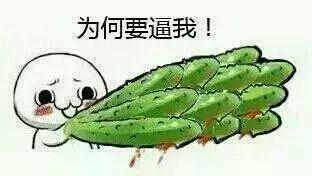 瓜哥带你吃瓜讲奇葩生物,奇特的生物世界大揭秘