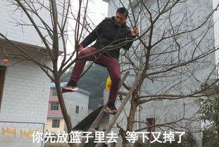 帅哥爬树吃瓜,帅哥爬树吃瓜的悠闲时光