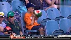 球赛解说吃瓜,解说员吃瓜背后的精彩瞬间