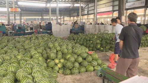 盐城哪里吃海瓜,探寻最佳海瓜美食之地