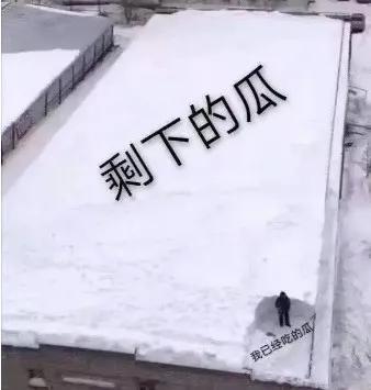 沉浸吃瓜,揭秘娱乐圈幕后风云