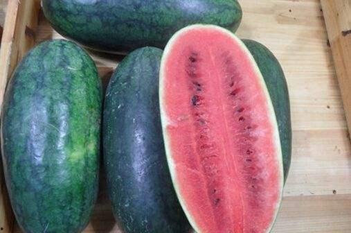 吃瓜海南,吃瓜海南，品味热带风情