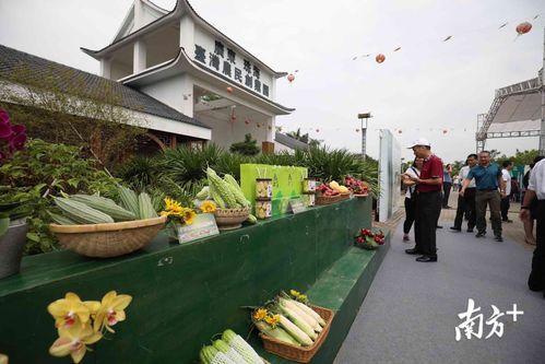 桃源吃瓜亭怎么布置