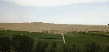 绿洲世界吃瓜频道,揭秘娱乐圈幕后故事，带你领略明星真实生活