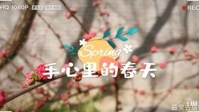 吃瓜群众认真的吗