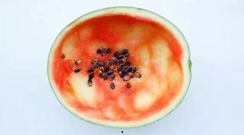 好看的勺子吃瓜,探寻“好看勺子”背后的吃瓜故事