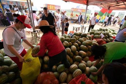 濮阳栏杆吃瓜,揭秘吃瓜群众的欢乐盛宴