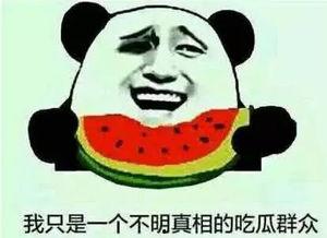 我只是个吃瓜