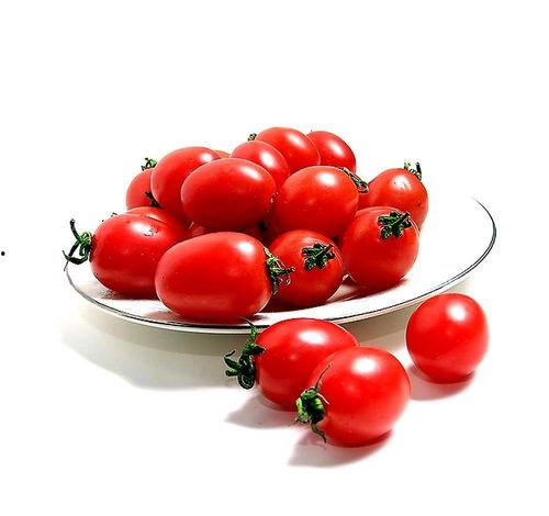 番茄小说推荐搞笑吃瓜,笑料百出，吃瓜群众狂欢盛宴