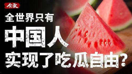 为了实现吃瓜自由,探索新时代美食文化的多元选择与自由享受