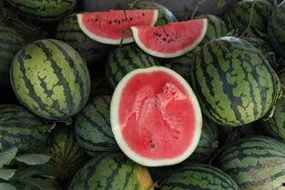 一元买瓜吃,揭秘神奇瓜市背后的故事