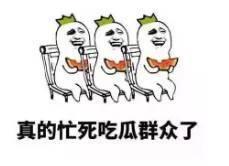 新蔡县吃瓜,瓜果飘香，品味乡愁