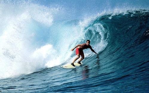 怪谈吃瓜刷游轮,一场惊心动魄的奇幻之旅