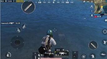 吃瓜大鱼电影院吃鸡,一场别开生面的吃鸡盛宴