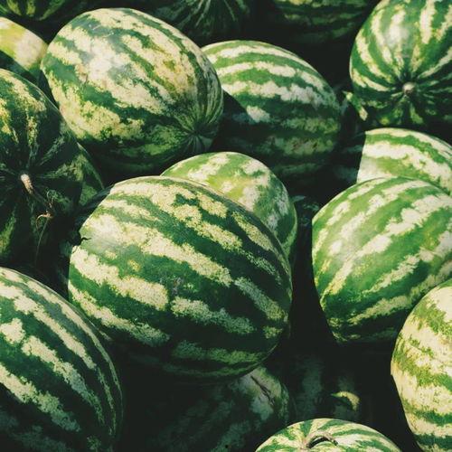 带官吃瓜,揭秘官场背后的故事与真相