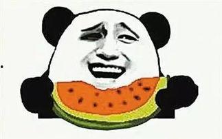 吃瓜销售员